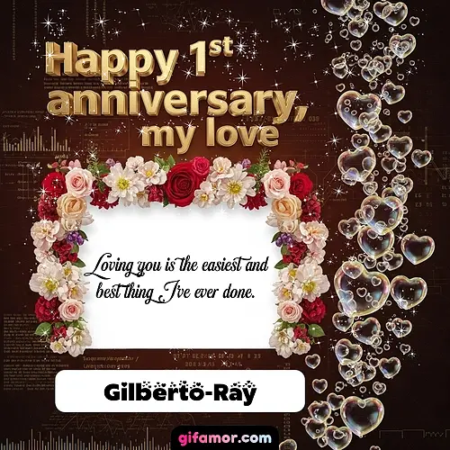 Happy 1st anniversary, my love IV Gilberto-Ray